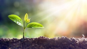5 december: World Soil Day - Herstel de bodem, red het klimaat