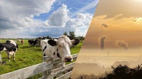 Stikstofmaatregelen gepresenteerd: wat betekent dit voor u?