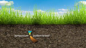 Volop kennisdeling door TAUW bodemspecialisten bij Symposium Bodem Breed