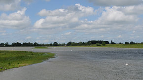 Natuurinclusief ontwerp: IJsseldelta-Zuid