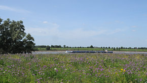 Ruimte voor de Rivier