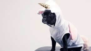 Beat the Unicorn: Atychiphobia