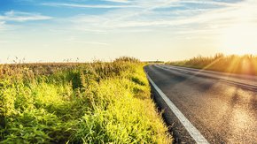 Grassap als duurzaam alternatief voor strooizout: proef op N504 in aantocht
