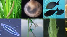 Monitoring flora en fauna in water en wegbermen voor Rijkswaterstaat