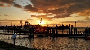Samenwerken in de energietransitie, wat kunnen we leren van Springtij?