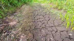 World Soil Day: Stop taking advantage of the soil’s generosity