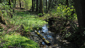 Beheerplannen Natura 2000 Hoog Nederland