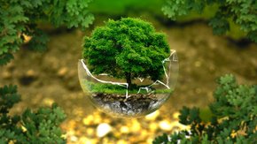 Actualité: Davantage d’études d’incidence sur l’environnement pour la Wallonie