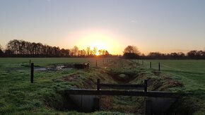Droogte en landbouw: lessen van de boer