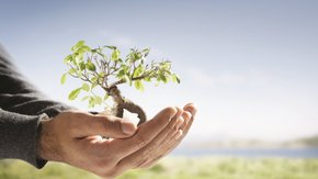 Tauw ondertekent het Green Recovery Statement