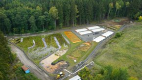 Nature-based solutions (NBS) bieden nieuwe kansen in bodemsanering