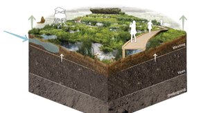 Visie natuurherstel veenlandschappen Laag Holland