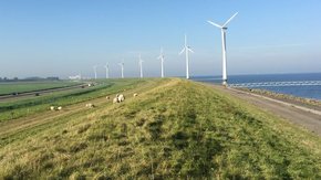 Tauw ondersteunt bij beoordeling veiligheid dijken in Flevoland