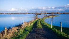 TAUW en Van den Bosch & Partners bundelen krachten voor implementatie aanpassing belastingstelsel waterschappen