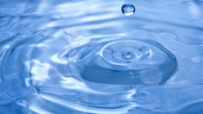Diligence environnementale expose risques environnementaux