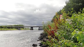 Steenwijkerland, MER buitengebied – pilot Omgevingswet