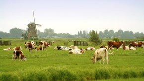 Door Tauw opgestelde tussenevaluatie PAS naar Tweede Kamer