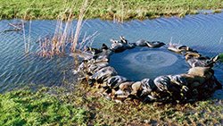 Verbetering ondergrond door natuurlijke, kostenefficiënte geotechnische oplossingen