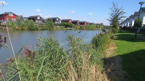 Succesvolle themabijeenkomst ‘Stadswaterkwaliteit toekomstbestendig!’