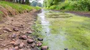 Stresstest landelijk gebied: naar een robuustere droogte- en overlastbestendige inrichting