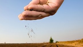 Economische waarde van de bodem onderzocht