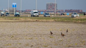 Samenwerkpartner duurzaamheid in trajectprogrammering Gelderland