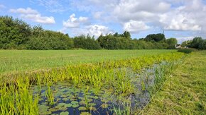 Ecohydrologische systeemanalyse en veldwerk Utrechtse Heuvelrug - fase 1