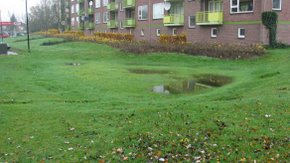 Wadi’s; de onmisbare kameleons van onze leefomgeving