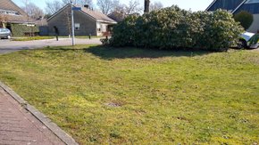 Zijn wadi’s de redding van de stad?