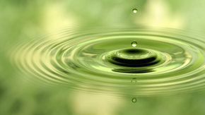 Réseau écologique d'évacuation eaux usées FrieslandCampina