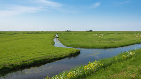 Wendbaar watermanagement, omgaan met onzekerheid