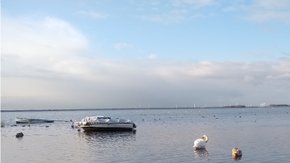 Watersysteem rapportage Randmeren Oost