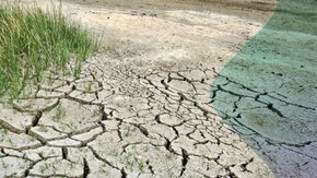Whitepaper Droogte 'Droog, droger, droogst' gepubliceerd