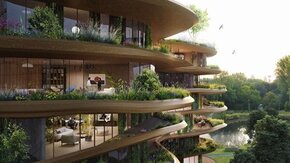 Detachering ecoloog bij gemeente Amsterdam, Zuidas