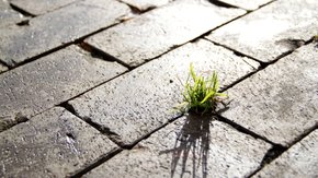 Vote: adaptation de la directive Seveso: qu’est-ce qui change pour votre entreprise?