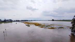 Overstromingen bieden kansen voor de ecologie