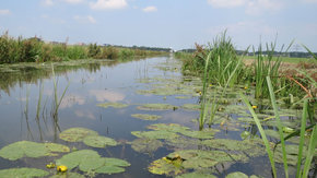 Citizen Science is de toekomst