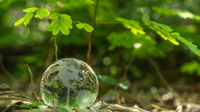 Environnement, Société et Gouvernance dans vos investissement: comment vous y retrouver ?
