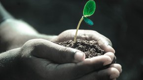 Nouvel arrêté relatif aux primes pour les études et la dépollution des sols en Région Bruxelloise