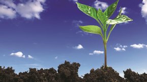 Les modifications du décret sol se précisent