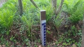 De impact van waterschaarste