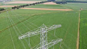 Drones bij ecologieprojecten: 3 succesvolle voorbeelden uit de praktijk