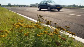 DB&M contract bij project Ecopassage N227