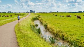 “(Omgevings)wet van de remmende voorsprong?”