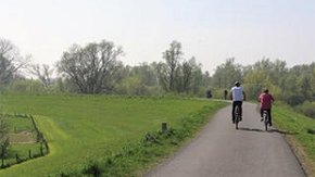 Ingenieursdiensten voor Meanderende Maas