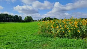 Bodemonderzoek natuurakkers Oude Strijper Aa, Staatsbosbeheer