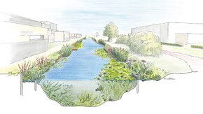 TAUW helpt gemeenten biodiversiteitssubsidie effectief in te zetten