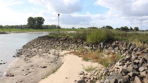 Rijkswaterstaat gunt krib- en oeververlaging Pannerdensch Kanaal Aan Ploegam B.V