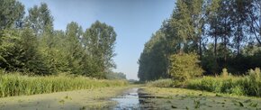 TAUW Belgique et TAUW Pays-Bas s'associent à un projet de recherche européen pour une stratégie régionale de la contamination par les PFAS
