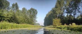 TAUW België en TAUW Nederland bundelen krachten in Europees onderzoeksproject voor gebiedsgerichte aanpak van PFAS-verontreiniging